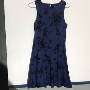 Navy blue collared dress with velvet designs